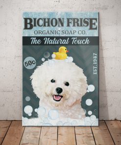 Bichon Frise Dog
