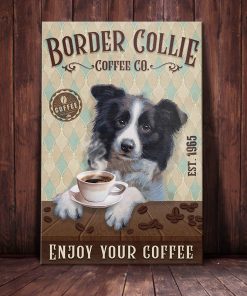 Border Collie Dog